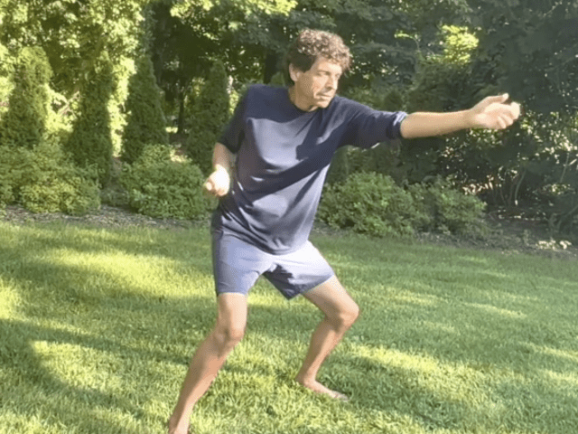 Fist with Fierce Gaze for Releasing Anger